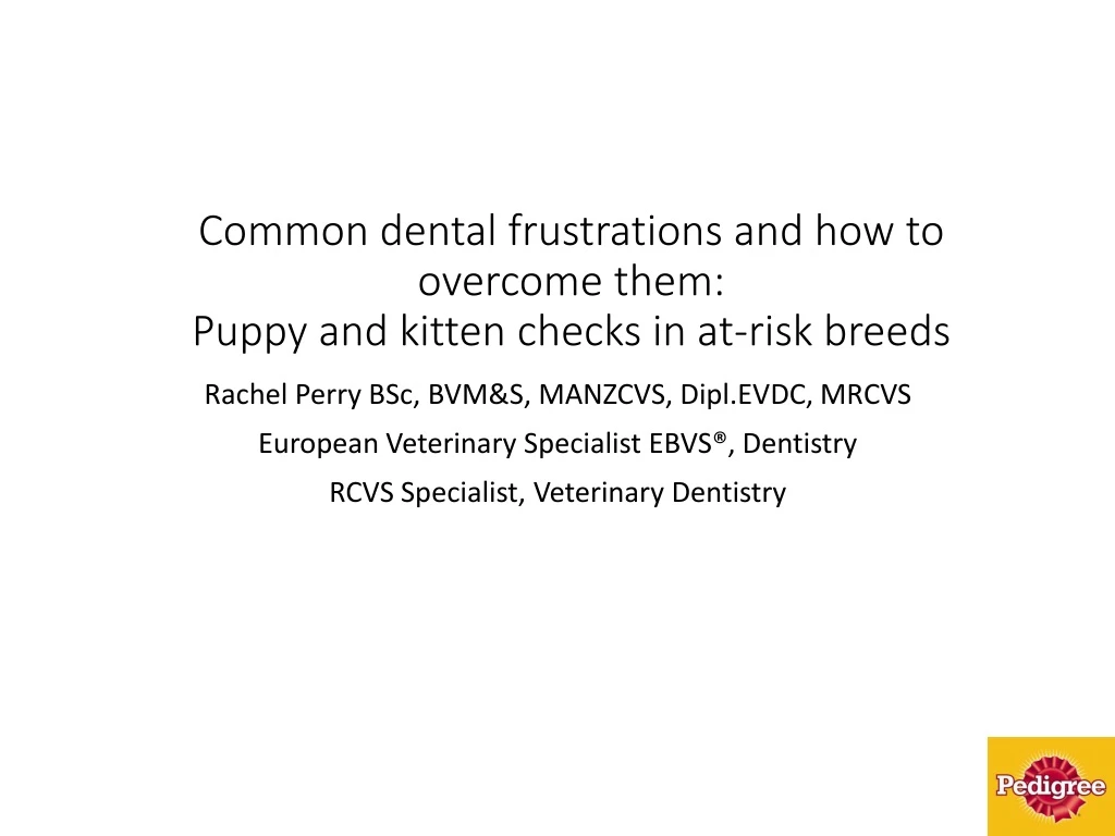 common dental frustrations and how to overcome them puppy and kitten checks in at risk breeds