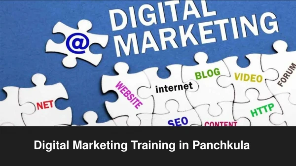 Digital Marketing Training in Panchkula