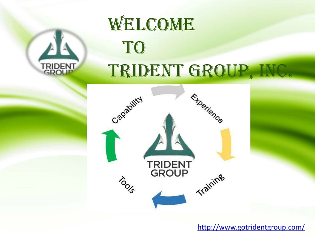 welcome to trident group inc