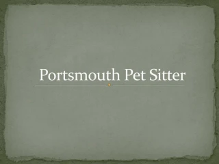 Professional Pet Sitting Service in Efford