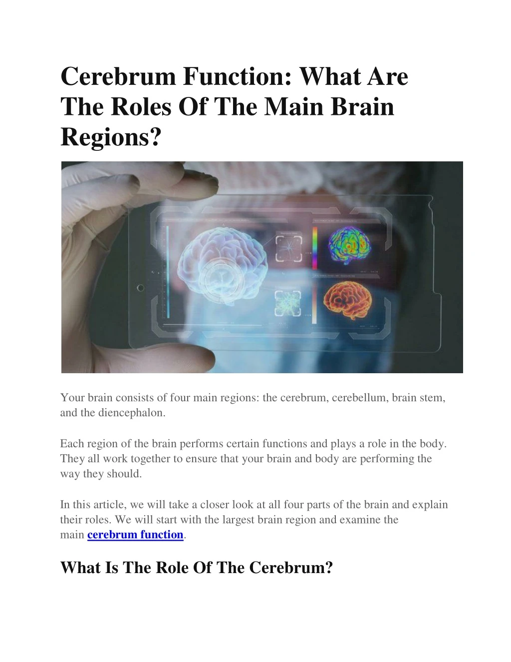 cerebrum function what are the roles of the main