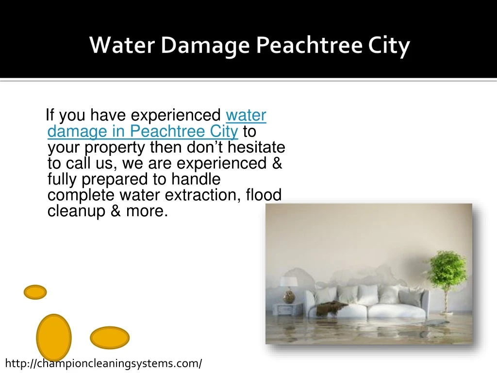 water damage peachtree city