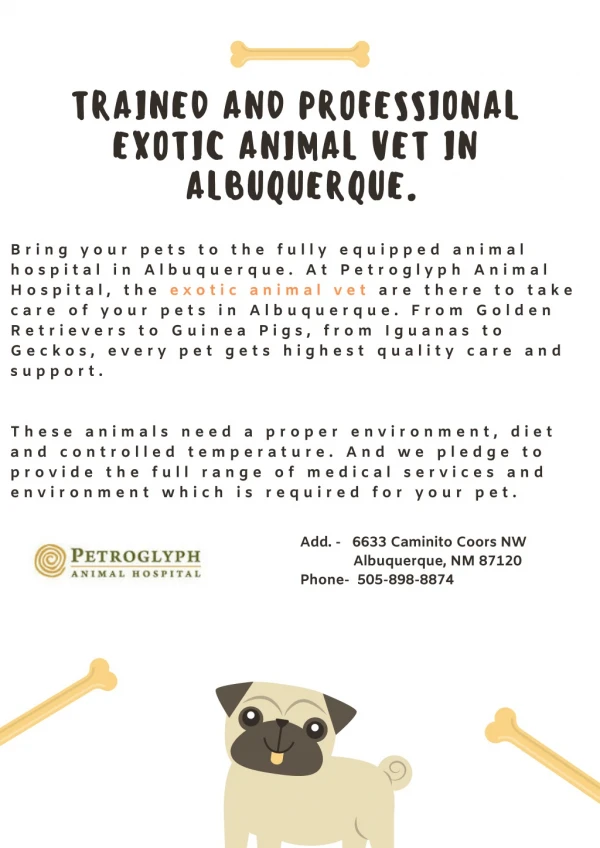 Trained and Professional Exotic Animal Vet in Albuquerque