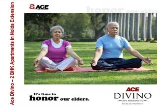 2 BHK Apartments in Noida Extension - Ace Divino