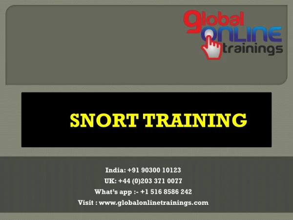 SNORT Training | SNORT Online Job Support from India - GOT