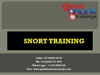 SNORT Training | SNORT Online Job Support from India - GOT - slide 1