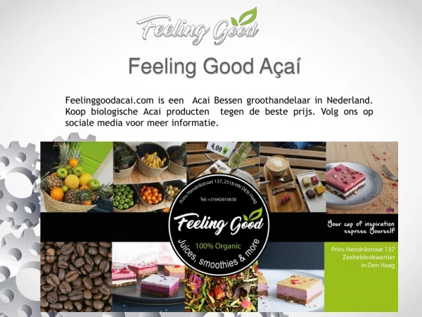 acai bessen online bestellen