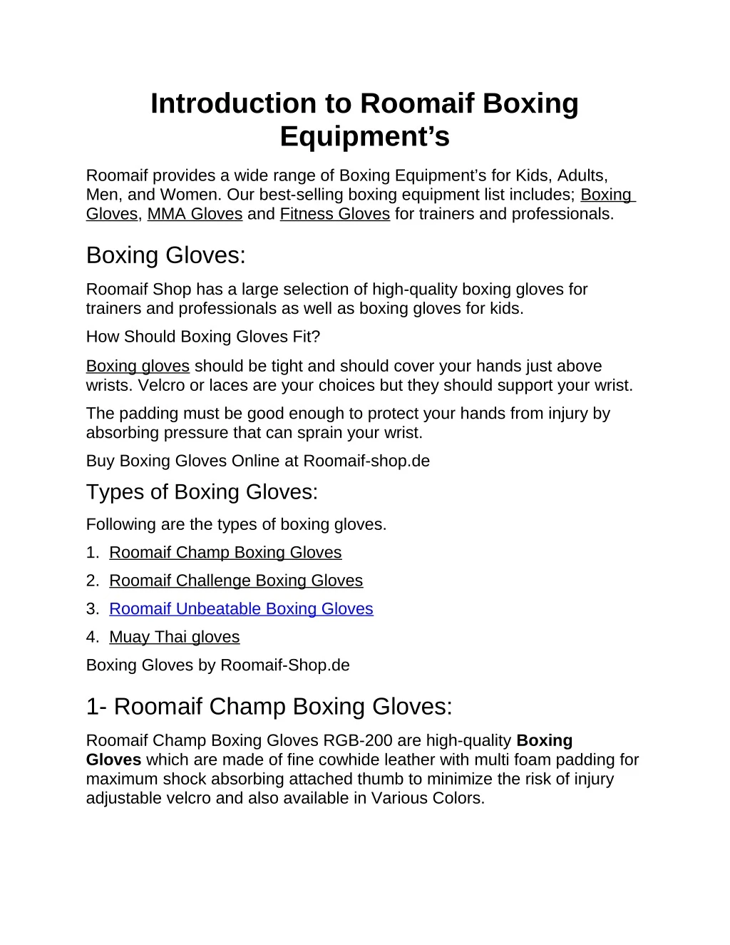 introduction to roomaif boxing equipment s