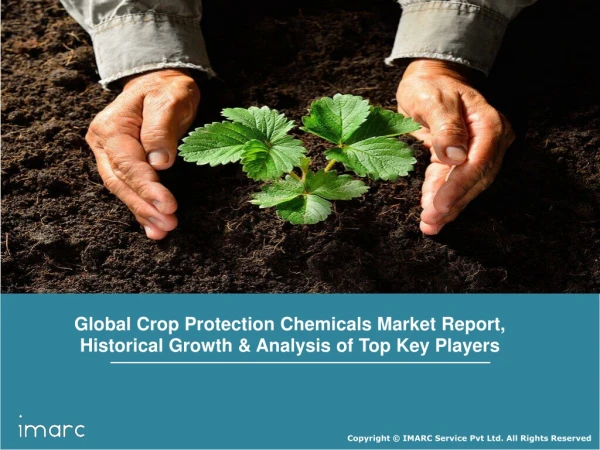 Crop Protection Chemicals Market: Global Industry Trends, Share, Size, Growth, Regional Key Players and Forecast Till 20