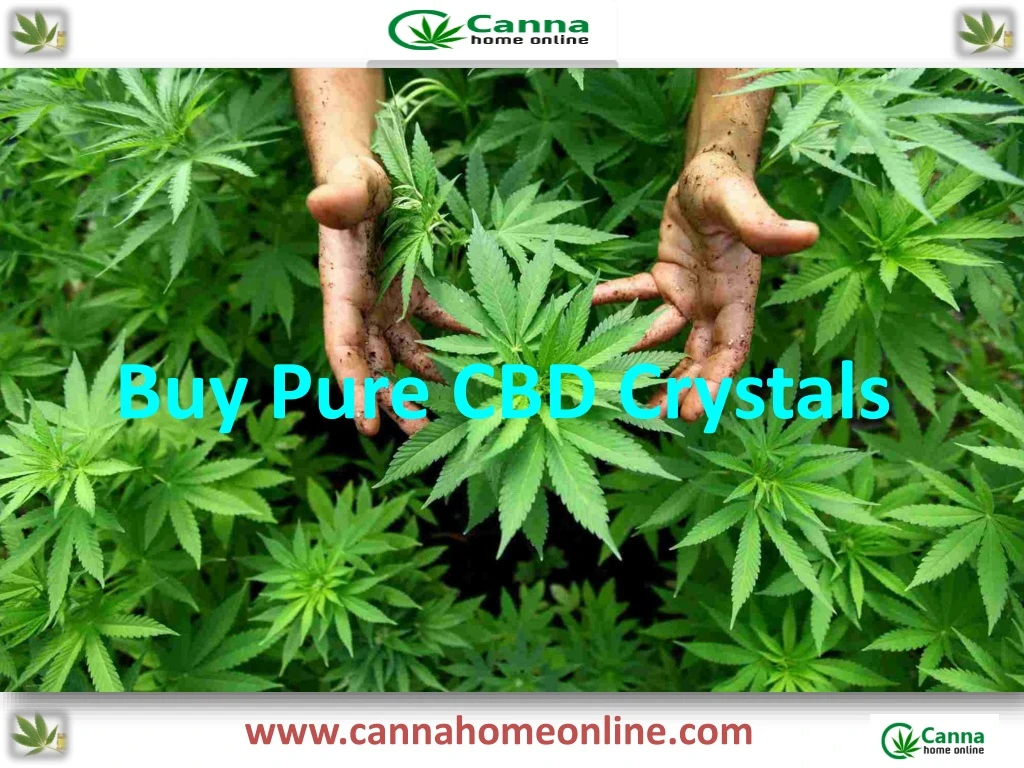 buy pure cbd crystals