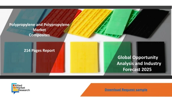 Polypropylene and Polypropylene Composites Market analysis of industry 2025
