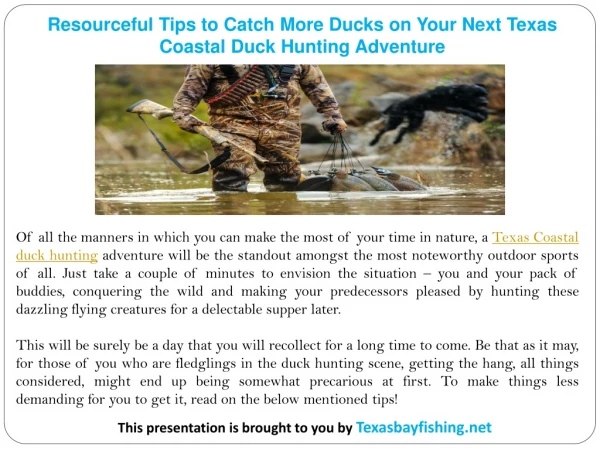 Resourceful Tips to Catch More Ducks on Your Next Texas Coastal Duck Hunting Adventure