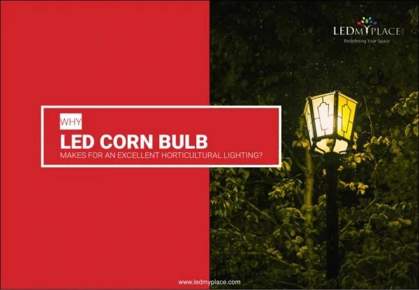 Why LED Corn Bulb Makes For An Excellent Horticultural Lighting.
