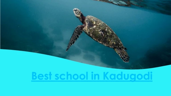 Best school in Kadugodi