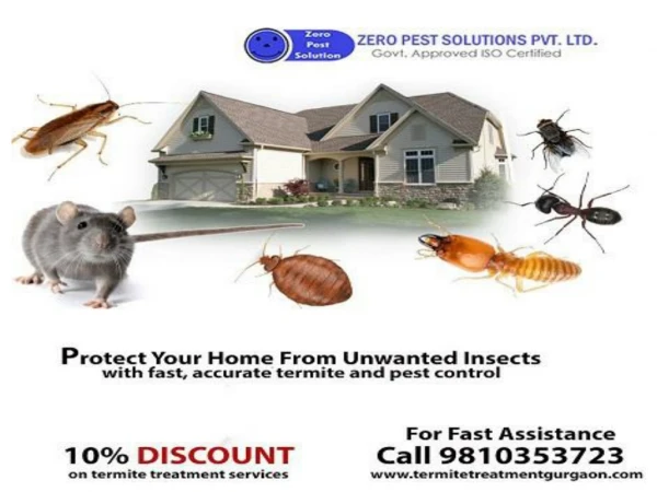 Top pest control Gurgaon, Dial 91-9810353723