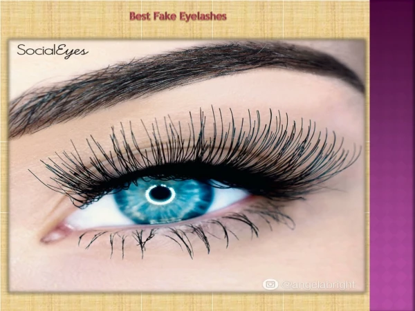 Best Fake Eyelashes