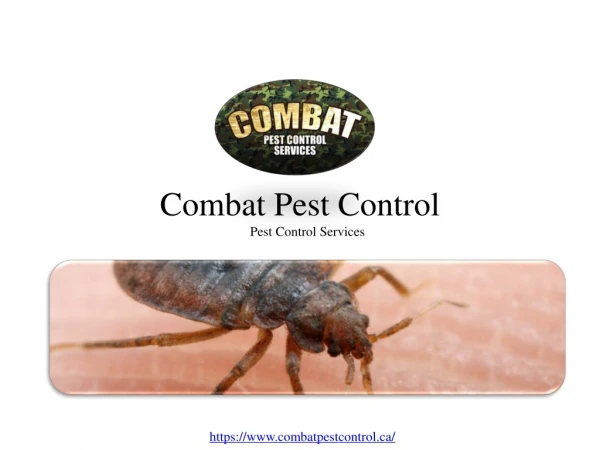 PPT (PowerPoint Presentation) Combat Pest Control