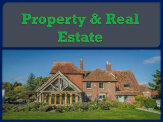 Property & Real Estate