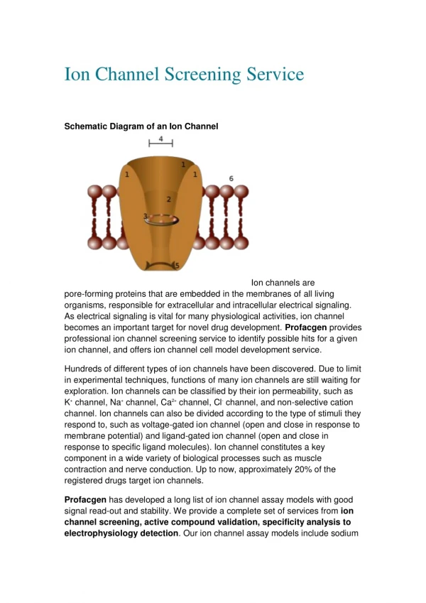ion channel screening service
