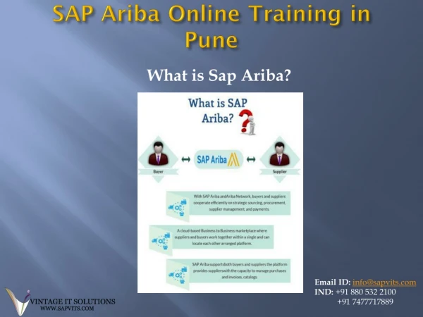 SAP Ariba What it Does and Offers : Overview