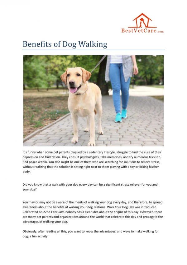 Benefits of Dog Walking