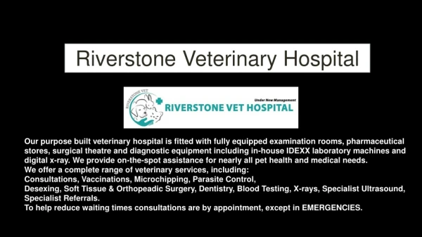 Pet Clinic Near Me - Riverstonevets