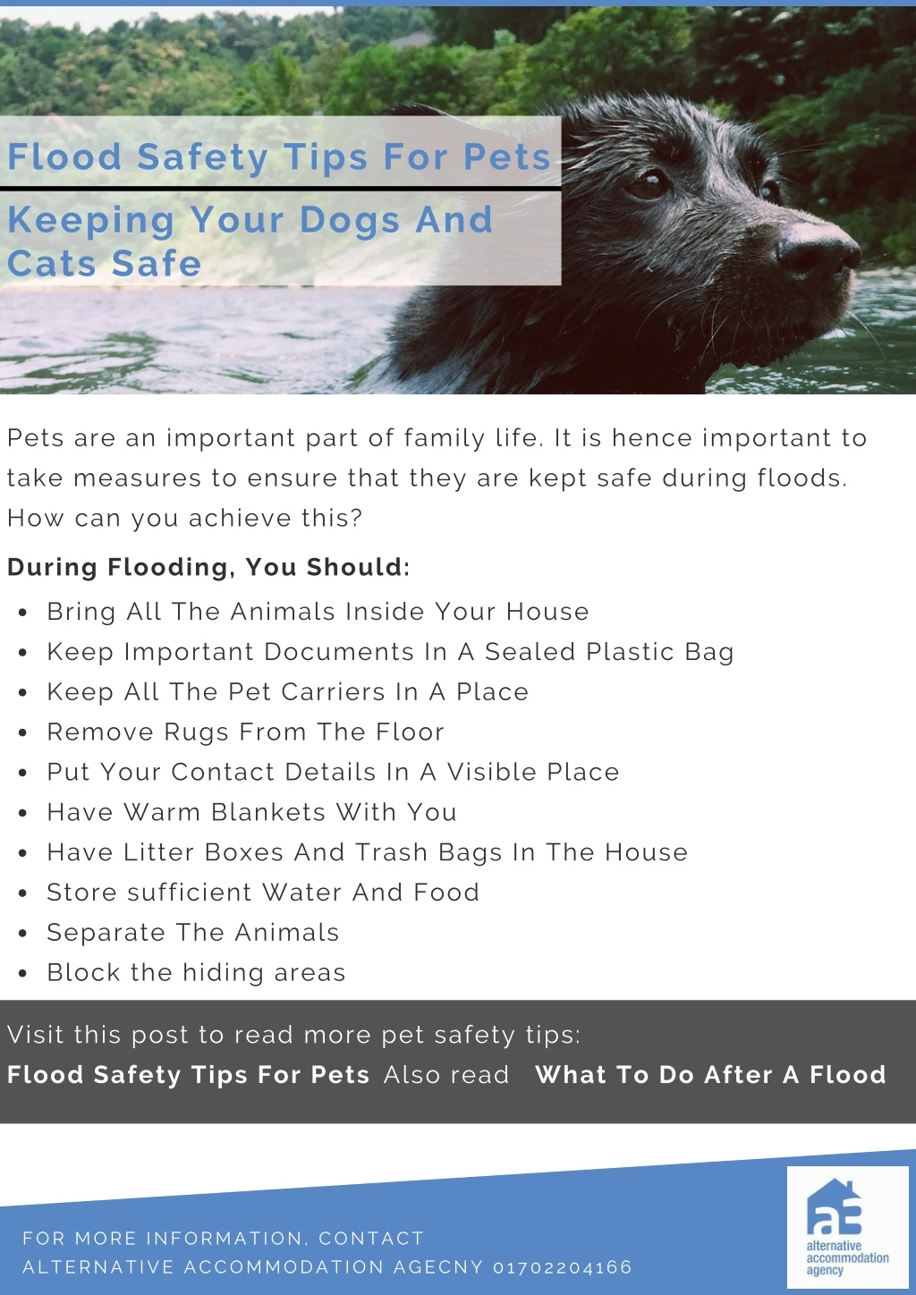 flood safety tips for pets