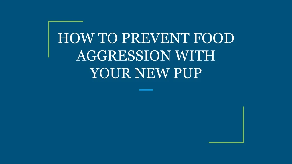 how to prevent food aggression with your new pup