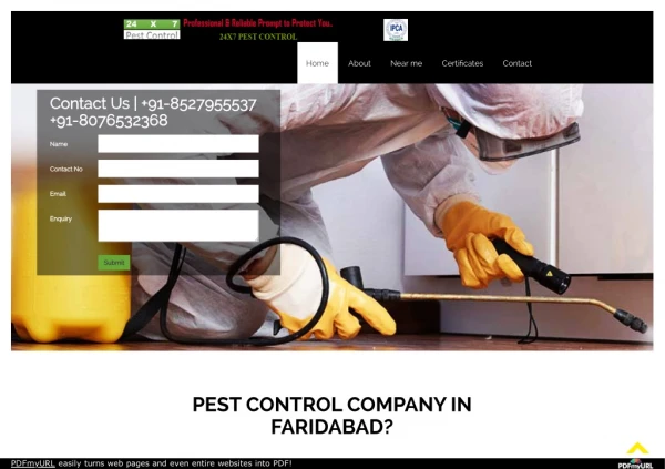 Choosing your Reliable Pest Control Service in Faridabad
