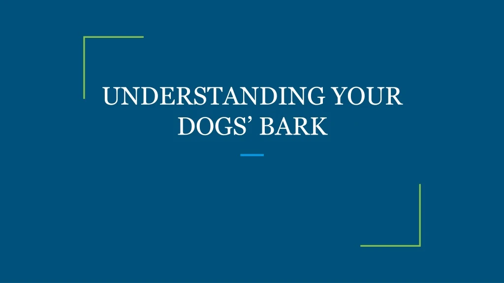 understanding your dogs bark
