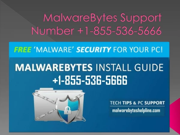 MalwareBytes Support Number 1-855-536-5666