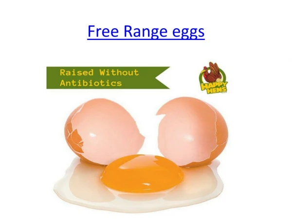 Get free range eggs rich in Omega 3 and Carotenoids | Happy Hens Farm