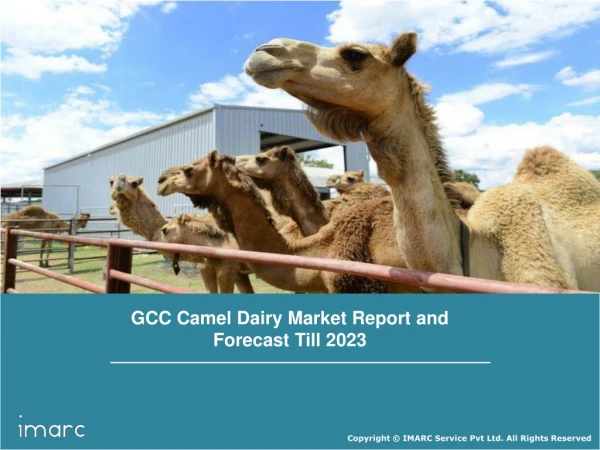 GCC Camel Dairy Market: Industry Trends, Growth, Share, Regional Analysis and Forecast Till 2023