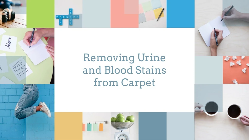 removing urine and blood stains from carpet