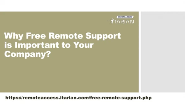 What is Remote Support?