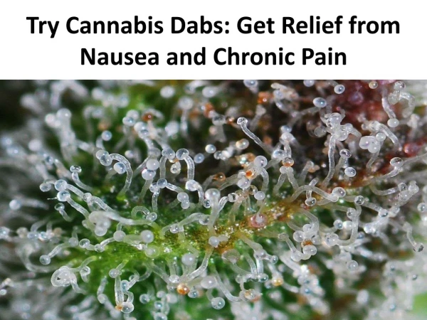 Try Cannabis Dabs Get Relief from Nausea and Chronic Pain