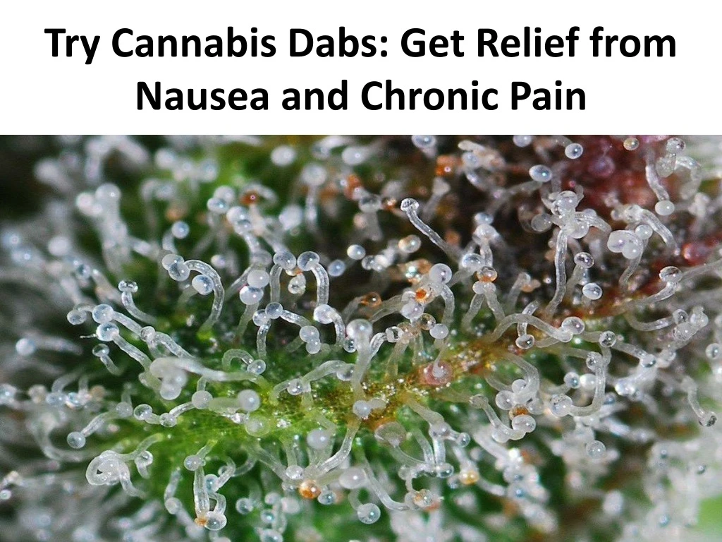 try cannabis dabs get relief from nausea