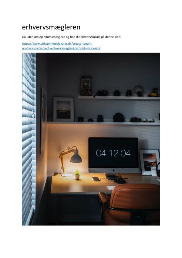 erhvervsm gleren