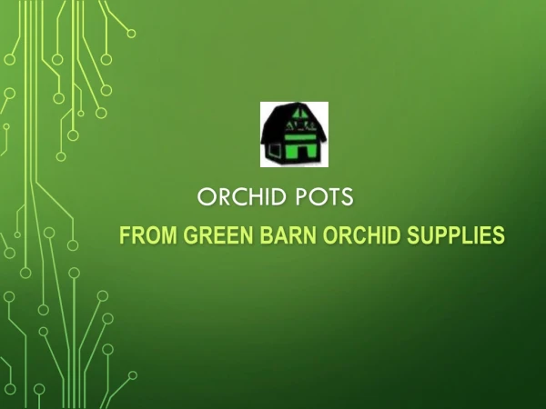Special deigned orchids pots shop from Green Barn Orchids Supplies