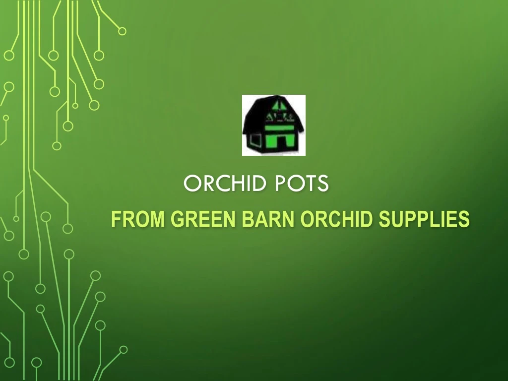 orchid pots