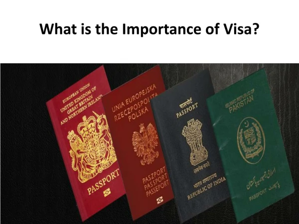 What is the Importance of Visa?
