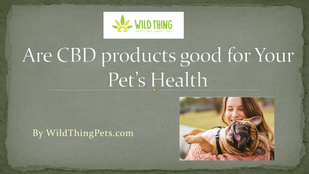 are cbd products good for your pet s health