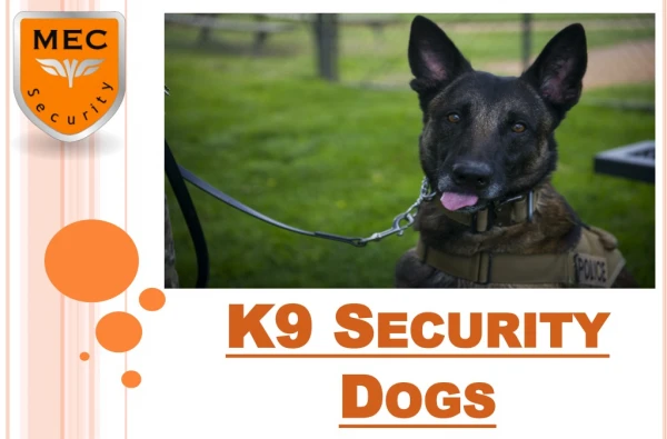 K9 Security Dogs