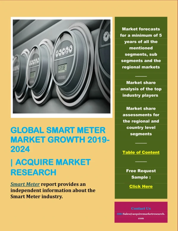 Global Smart Meter (Electric, Water, Gas, AMI) Market Report 2019 – 2024 History, Present and Future