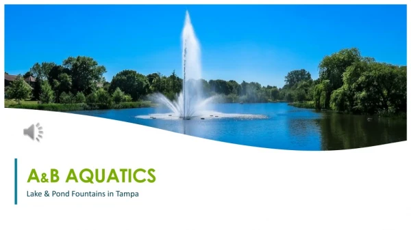Top Lake & Pond Fountain Installation Service In Tampa