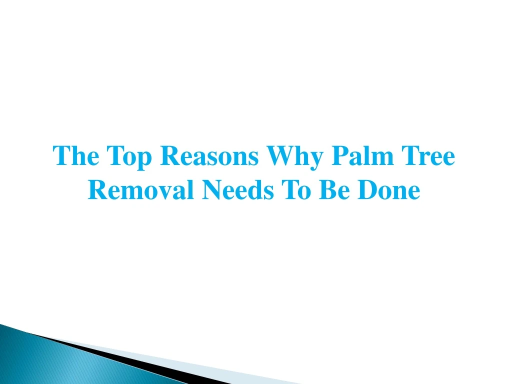 the top reasons why palm tree removal needs