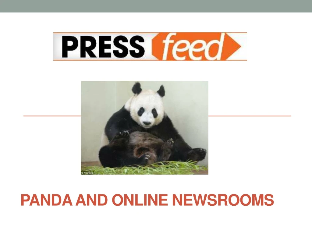 panda and online newsrooms