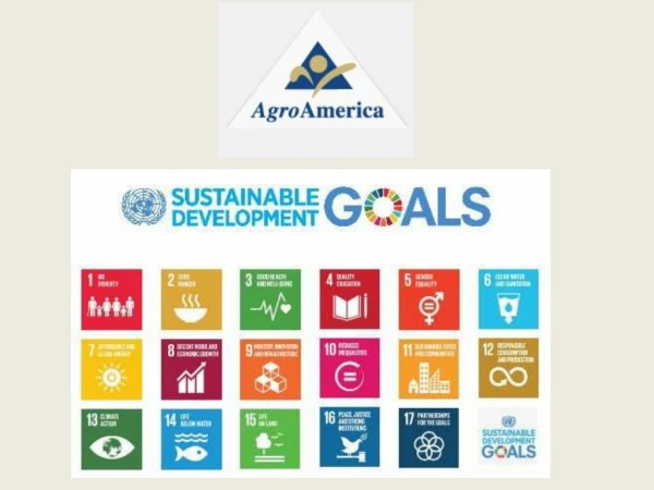 AgroAmerica Aligns CSR with United Nations Sustainable Development Goals