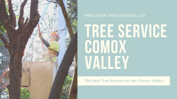 Tree Service Comox Valley - Precision Tree Services