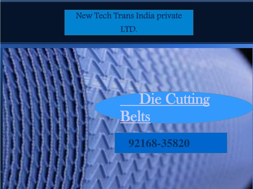 new tech trans india private ltd